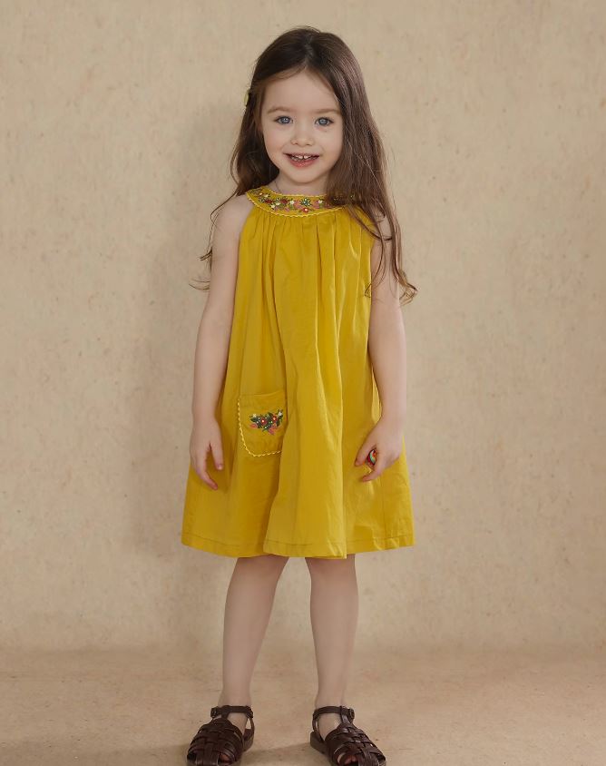 [Preorder] Collar Embroidery Dress