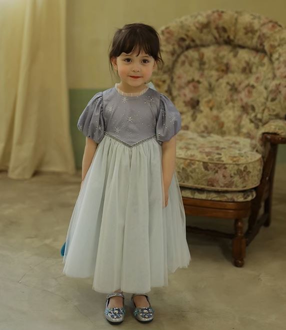 [Preorder] Silver Webbing Princess Dress