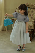 Load image into Gallery viewer, [Preorder] Silver Webbing Princess Dress
