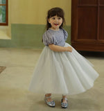 Load image into Gallery viewer, [Preorder] Silver Webbing Princess Dress
