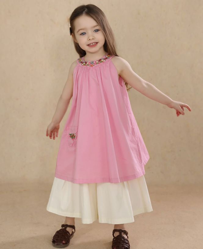 [Preorder] Collar Embroidery Dress