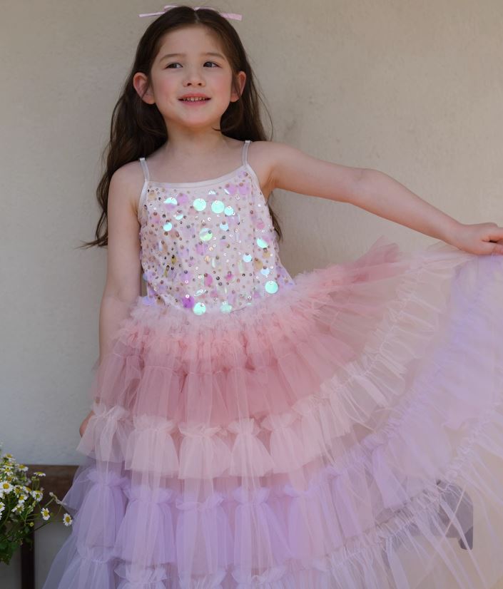 [Preorder] Sequined Gradient Tulle Dress