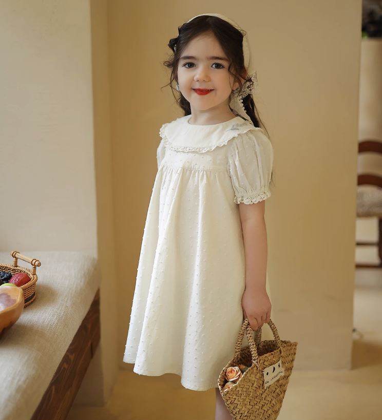 Lace Doll Collar Jacquard Dress