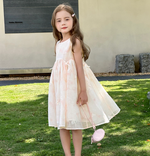 Load image into Gallery viewer, [Preorder] Bows &amp; Embroidery Vest Dress
