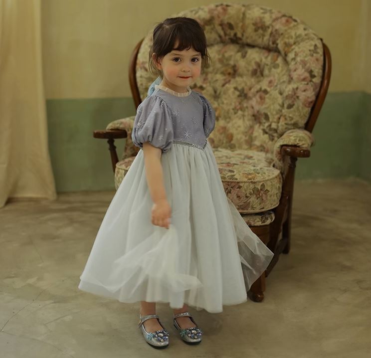 [Preorder] Silver Webbing Princess Dress