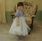 Load image into Gallery viewer, [Preorder] Silver Webbing Princess Dress
