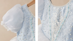 Load image into Gallery viewer, [Preorder] Moonlight Cinderella Princess Dress
