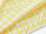Load image into Gallery viewer, [Preorder] Buttercup Gingham Dress

