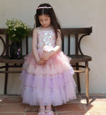 Load image into Gallery viewer, [Preorder] Sequined Gradient Tulle Dress
