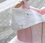 Load image into Gallery viewer, [Preorder] Roselle Aurora Princess Dress
