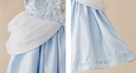 Load image into Gallery viewer, [Preorder] Moonlight Cinderella Princess Dress
