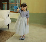 Load image into Gallery viewer, [Preorder] Silver Webbing Princess Dress
