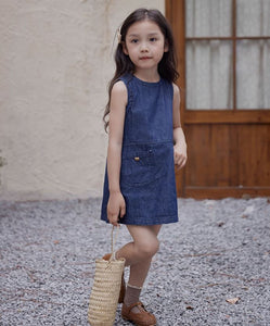 Spliced A-Line Denim Dress