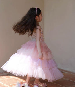 [Preorder] Sequined Gradient Tulle Dress