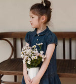 Load image into Gallery viewer, [Preorder] Retro Denim Doll Collar Dress
