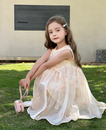 Load image into Gallery viewer, [Preorder] Bows &amp; Embroidery Vest Dress
