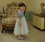 Load image into Gallery viewer, [Preorder] Silver Webbing Princess Dress
