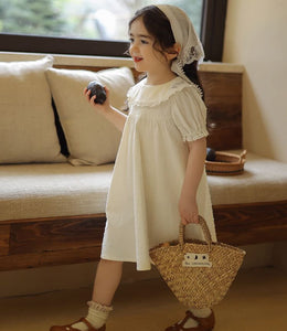 Lace Doll Collar Jacquard Dress