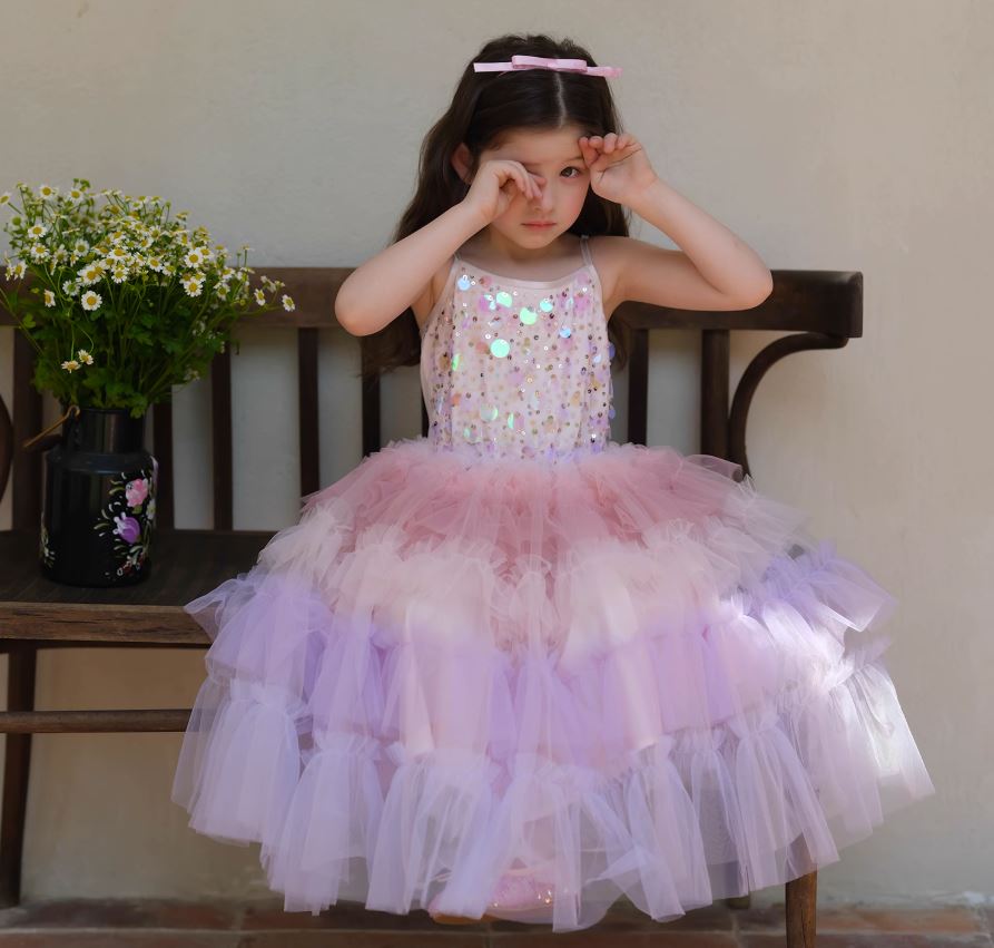 [Preorder] Sequined Gradient Tulle Dress