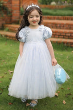 Load image into Gallery viewer, [Preorder] Elsa Glitter Snowflakes Princess Dress
