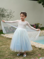 Load image into Gallery viewer, [Preorder] Frosted Elsa Princess Dress - Blue
