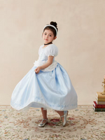 Load image into Gallery viewer, [Preorder] Moonlight Cinderella Princess Dress

