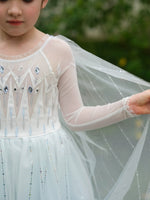 Load image into Gallery viewer, [Preorder] Frosted Elsa Princess Dress - Blue
