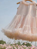 Load image into Gallery viewer, [Preorder] Dreamland Tulle Dress
