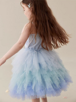 Load image into Gallery viewer, [Preorder] Ice Tiered Tulle Dress
