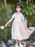 Load image into Gallery viewer, Symphony Tulle Chinese-Style Dress - Blue
