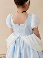 Load image into Gallery viewer, [Preorder] Moonlight Cinderella Princess Dress
