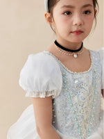 Load image into Gallery viewer, [Preorder] Moonlight Cinderella Princess Dress
