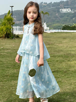Load image into Gallery viewer, Misty Rain Cheongsam Top &amp; Bottom Set
