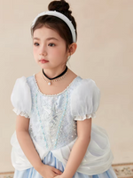 Load image into Gallery viewer, [Preorder] Moonlight Cinderella Princess Dress
