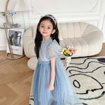 Load image into Gallery viewer, [Preorder] Elsa Princess Cape Dress
