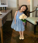 Load image into Gallery viewer, Lantern Gauze Vest Dress
