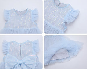 Back Ribbon Sequins Tulle Dress