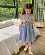 Load image into Gallery viewer, Blue Checkered Vest Dress
