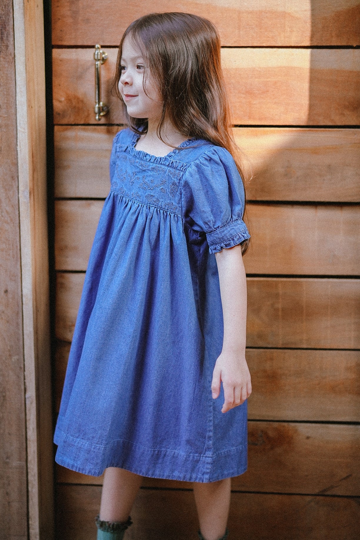 U-Neck Denim Embroidery Dress