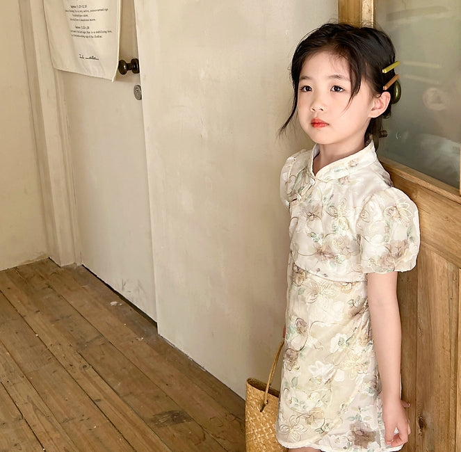 Vintage Embroidery Cheongsam Dress