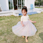 Load image into Gallery viewer, X-Back Rainbow Tulle Dress
