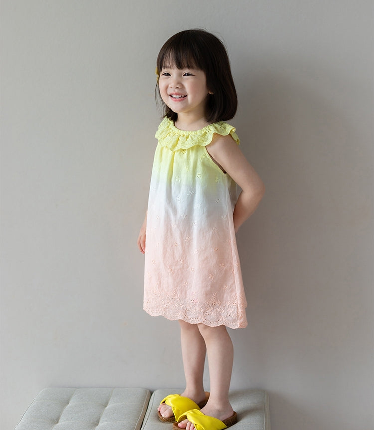 Eyelet Gradient Color Dress