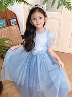 Load image into Gallery viewer, [Preorder] Elsa Princess Cape Dress
