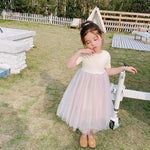 Load image into Gallery viewer, X-Back Rainbow Tulle Dress
