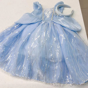 [Preorder] Cinderella Princess Dress