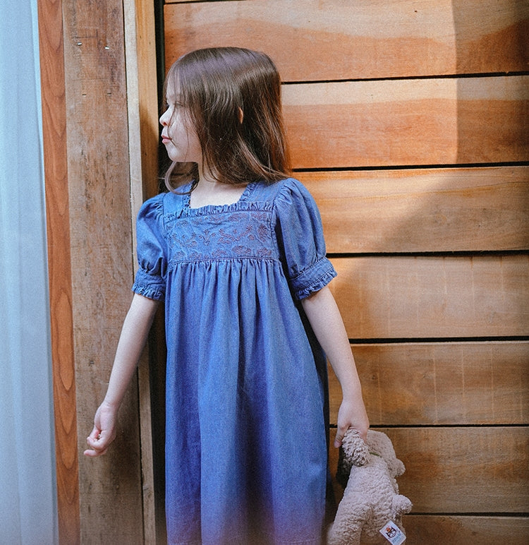 U-Neck Denim Embroidery Dress